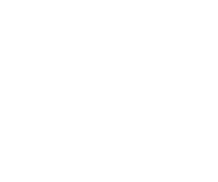 ADN GLOBAL